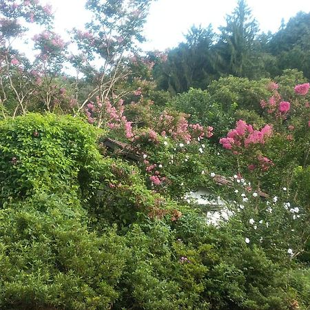 民宿松尾 Kiso Buitenkant foto