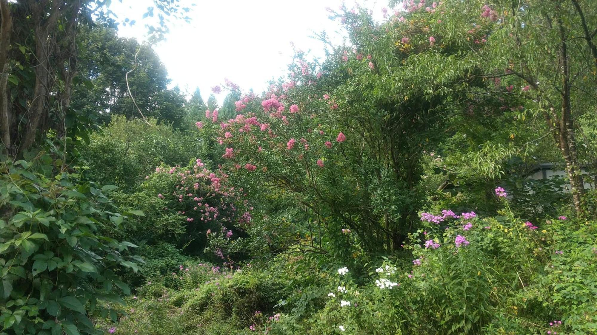 民宿松尾 Kiso Buitenkant foto